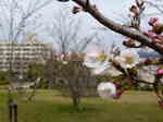 0406_1.jpg