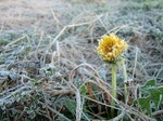 070308_1.jpg