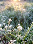 070308_2.jpg