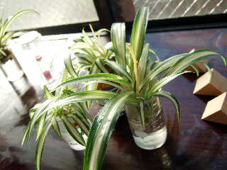 071224_1.jpg