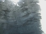 214_3.jpg