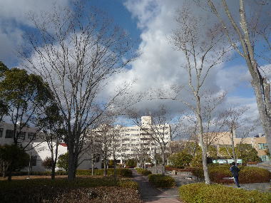 100107f.jpg