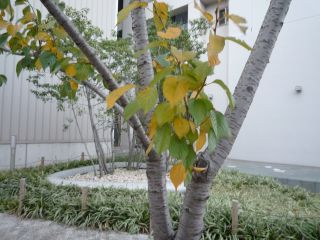 101102c.jpg