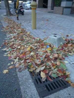 101109b.jpg
